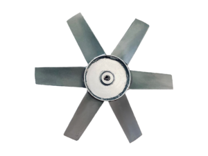 Decorative Background Fan